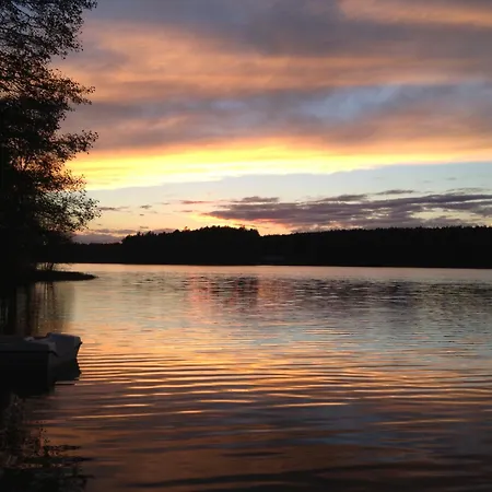 Lesny Reset * Studzienice