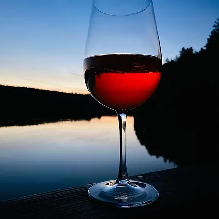 別荘 Lesny Reset Studzienice