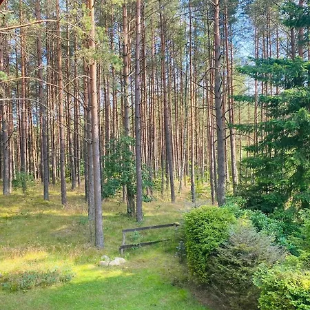 Lesny Reset Studzienice