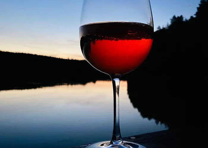 Semesterbostad Lesny Reset Studzienice