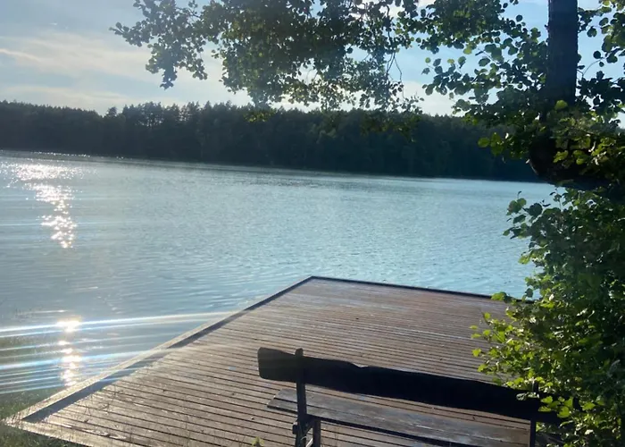 Lesny Reset Semesterbostad Studzienice