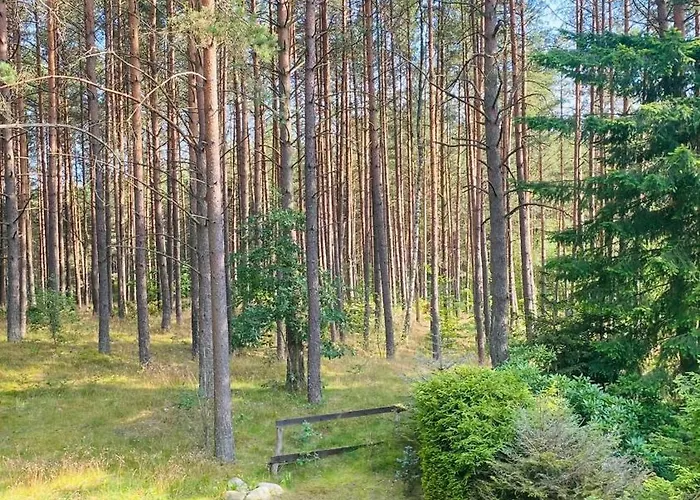 Lesny Reset Studzienice